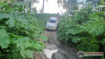 Трофи-лайф Каширское бездорожье 01.07.2020 - 74.jpg