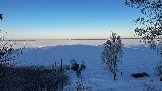 IMG_2895.JPG
