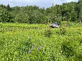 IMG_8784.JPG