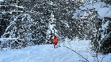 IMG_3246.JPG