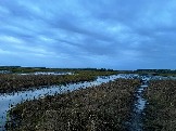 IMG_5619.JPG