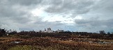 IMG_20231106_163833.jpg