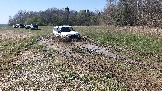 20250420_132817.jpg