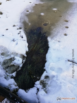 Фото Трофи-лайф 4х4 покатушка-экспедиция Западные Рубежи 22-24.02.20 -152.jpg