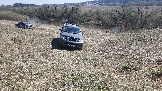 20250420_132012.jpg