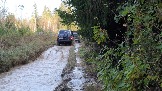 20231011_154756.jpg