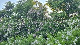 20260530_195436.jpg