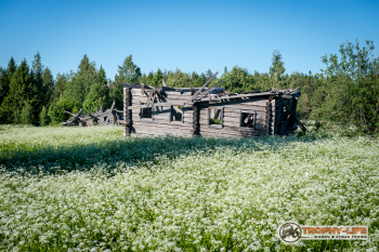 _DSC7884.jpg