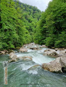 Фото Трофи-лайф 4х4 экспедиция Абхазия 2022 1-9.05.22 - 636.jpg