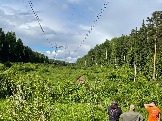 IMG_8818.JPG