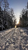IMG_3208.JPG