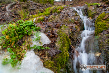 _MG_8370.jpg