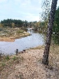 2023-10-08 13-12-14.JPG