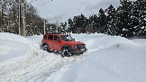 20260221_133917.jpg