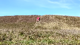 Трофи-лайф фото 4х4 покатушка Можайские Тропы 21.09.2024 -  (49).png