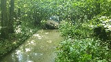 Трофи-лайф фото 4х4 покатушка Володарские Овраги 20.07.2024 -  (271).jpg