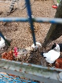 IMG_20260613_135512_394.jpg