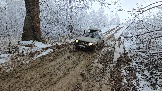 20251115_113251.jpg