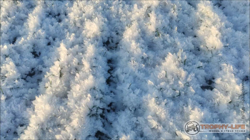 Фото Трофи-лайф 4х4 покатушка Радужный Водопад 12.12.20 -20.jpg