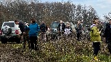 IMG_7534.jpg
