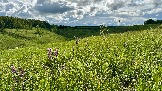 IMG_1365.jpg