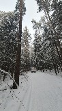 20231209_151355.jpg