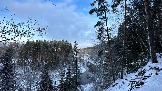 IMG_5524.jpg