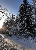 IMG_3207.JPG