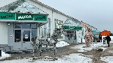 IMG_1026.jpg