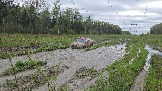 20260510_171806.jpg