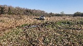 20250420_165740.jpg