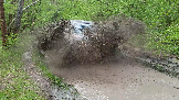 Трофи-лайф фото 4х4 покатушка В гости к зубрам 10.05.2024 -  (63).png