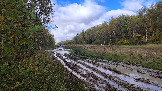 Трофи-лайф фото 4х4 покатушка Пещера Володары 03.10.2026 - 073.JPG