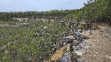 20250503_164603.jpg