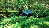 Трофи-лайф фото 4х4 покатушка Ярославский Рубильник 15.06.2024 -  (64).png