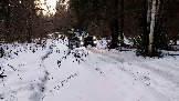 Трофи-лайф фото 4х4 покатушка Гремячий Ключ 22.02.2025 -  (92).jpg
