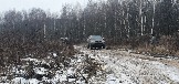 20241130_124845.jpg