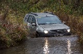 IMG_8822.jpeg