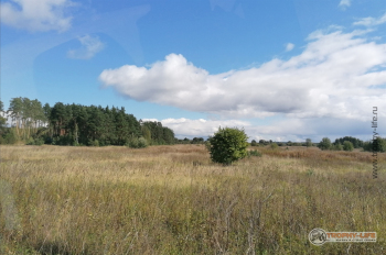 Фото Трофи-лайф 4х4 покатушка Покровский Пряник 04.09.21 - 261.jpg