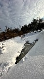 IMG_8010.jpg