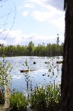 Фото Трофи-лайф 4х4 покатушка Мещерские Озёра 6-9.05.23 - 142.jpg