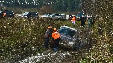 IMG_7505.jpg