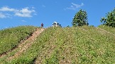 20260801_120357.jpg