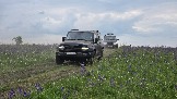 20250612_154819.jpg