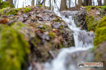 _MG_8381.jpg