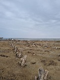 Трофи-лайф Экспедиция Казахстан Май 2024 (165).jpg