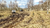 Трофи-лайф фото 4х4 покатушка Истринские Просеки 04.04.2026 - (91).jpg