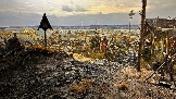 IMG_1285.jpg