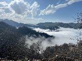 IMG_8539.JPEG