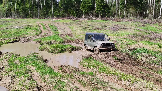 Трофи-лайф фото 4х4 покатушка Ожирелье Озёр 30.04.2024 -  (100).png